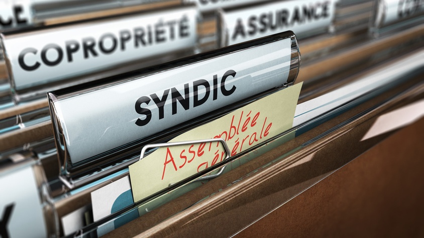 Animation des Assemblées Générales